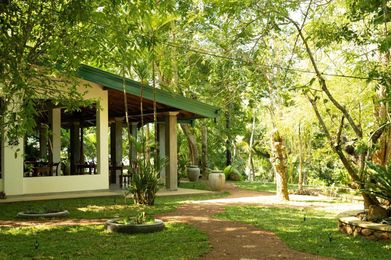 Villa Birdlake Hikkaduwa Ngoại thất bức ảnh