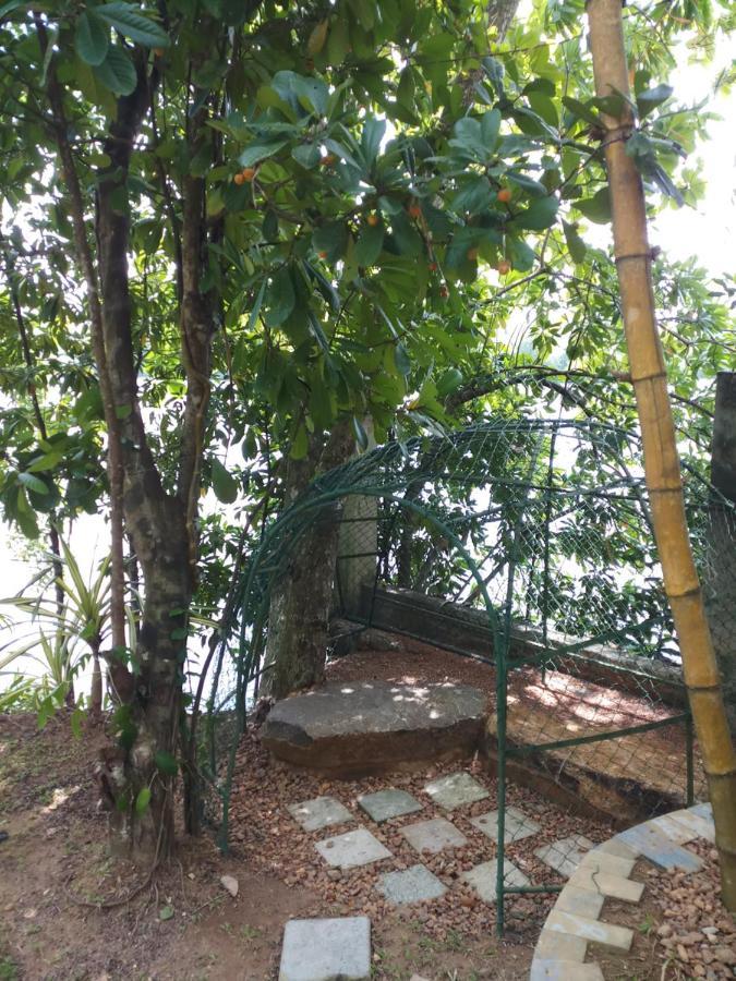 Villa Birdlake Hikkaduwa Ngoại thất bức ảnh