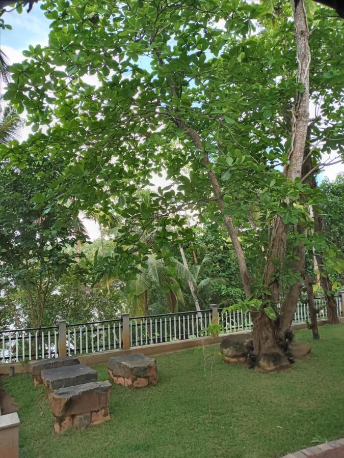Villa Birdlake Hikkaduwa Ngoại thất bức ảnh