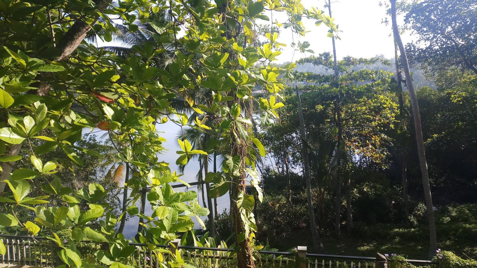 Villa Birdlake Hikkaduwa Ngoại thất bức ảnh