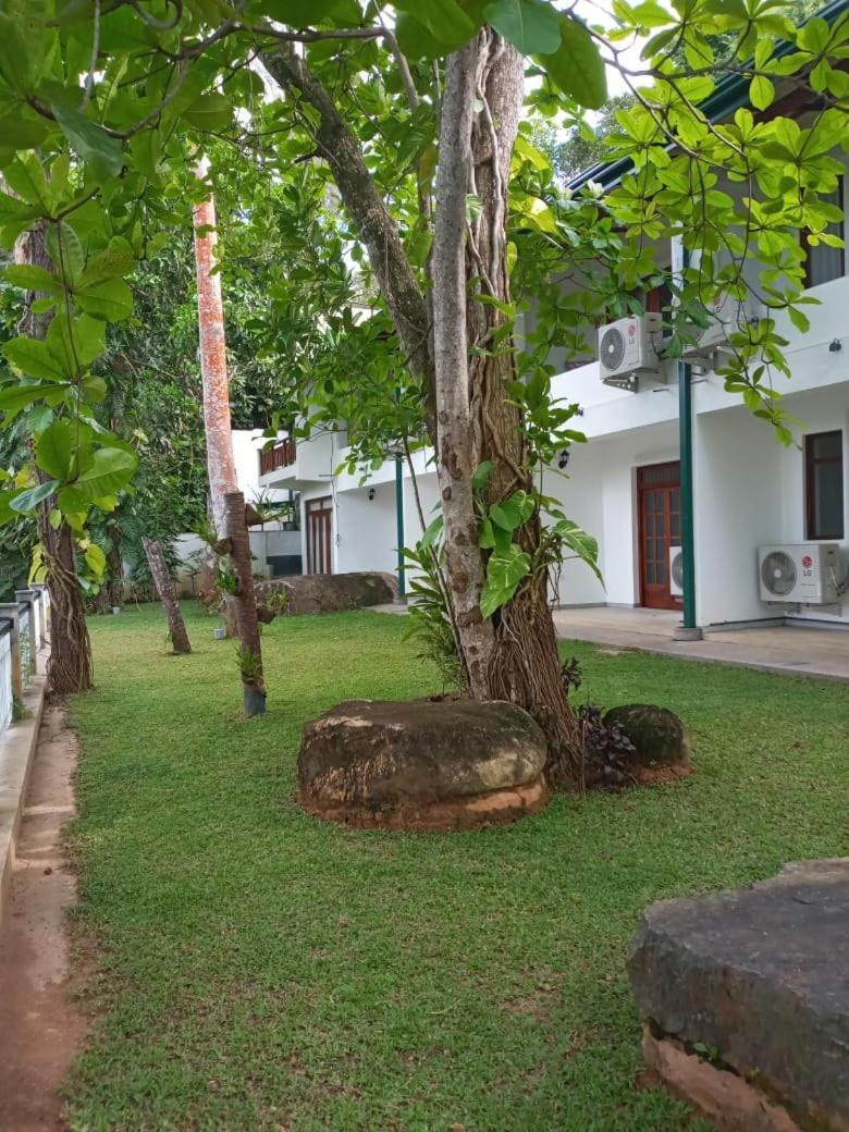 Villa Birdlake Hikkaduwa Ngoại thất bức ảnh